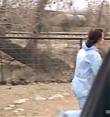 Filename=088.jpg
Filesize=146KiB
Dimensions=480x360
Date added=Feb 20, 2009 088.jpg